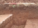 Thumbnail of Section shot of [3005] part 3