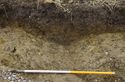 Thumbnail of Section of ditch 708