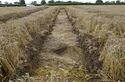 Thumbnail of Trench Shot Tr 7 from E