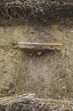 Thumbnail of N Facing Section Ditch 603
