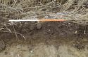 Thumbnail of Trench 8 representative section