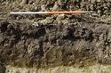 Thumbnail of E facing section of ditch 505