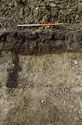 Thumbnail of Plan ditch 505
