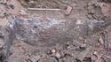 Thumbnail of S facing wall of cellar, area A, test pit D with 1m scale