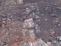 Thumbnail of Wall (E-W) near test pit 18. from E