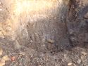Thumbnail of Excavated test pit 29 - all bed rock, from S