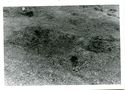 Thumbnail of Trench 4, Area W2, unexcavated features