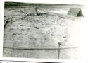 Thumbnail of Infant and animal burial complex