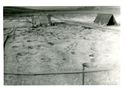 Thumbnail of Infant and animal burial complex