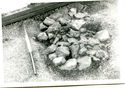Thumbnail of Infant and Animal burial stones GP, F5
