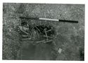 Thumbnail of Infant and animal burial complex, Animal Burial 3