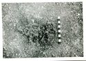 Thumbnail of Animal bone pit