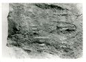 Thumbnail of Iron Age grave 5 profile, quarry face