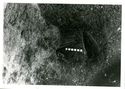 Thumbnail of Iron Age grave 5