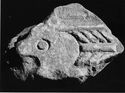 Thumbnail of Hexham 20A <br \>Corpus of Anglo-Saxon Stone Sculpture, University of Durham