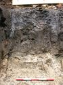 Thumbnail of Trench 2. Marsh Deposits [27], [28] & [29] Overlying Weathered Brickearth [30] and Natural [31]. Detail