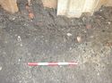 Thumbnail of Utilties Trench, Showing Post-Medieval Pit [73]