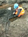 Thumbnail of Senior Archaeologist Antonietta Lerz Excavating Loose Twigs\Timbers From Medieval Marsh Deposit