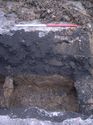 Thumbnail of Trench 7. West facing section. Showing the sequence of deposits beneath concrete slab on to firm natural clay (714)