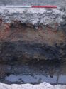 Thumbnail of Trench 1, section through makeup and dump deposits (102 and 103) below concrete slab (101). The underlying firm natural clay (104) at base
