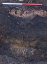 Thumbnail of Trench 9. East facing section. Showing the sequence of makeup deposits (902-906) beneath Tarmac roadway 901 on o firm natural clay (907)