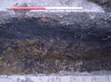 Thumbnail of Trench 8. east facing section. Showing the sequence of makeup deposits (802-803) beneath concrete slab (801) on to firm natural clay (804)