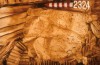 Thumbnail of DETAIL OF SHROUD SHEET (CAS84:DA:2324:02)