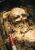 Thumbnail of DETAIL OF HEAD (CAS84:DS:2710:06)