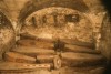 Thumbnail of LOOKING N OF FIRST SERIES OF EXPOSED COFFINS  (CAS84:EP:0000:01)