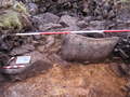 Thumbnail of Kerb and core cairn in north trench