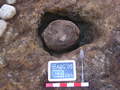 Thumbnail of Urn fully excavated