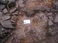 Thumbnail of Urn prior to excavation 2005