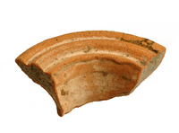 Gauloise Amphora in Verulamium White Slipped Ware