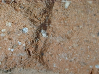 Hand specimen, fresh broken surface - Beltrán 2A