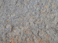 Thumbnail of Ostia 59 - Image HS10052
