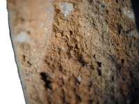 Hand specimen, fresh broken surface - Almagro 51C