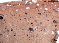 Hand specimen, fresh broken surface - Chalk 6