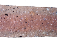 Hand specimen, fresh broken surface - Late Roman Amphora 2
