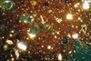 Thumbnail of Dressel 1 - Image CNV30015