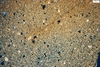 Thumbnail of Gauloise 4 similis - Almadrava 3 - Image CNV60002