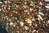 Campanian almond-rim type