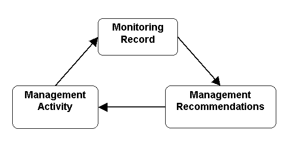 Figure 29: Monument management process.