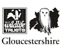 Gloucestershire Wildlife Trust logo