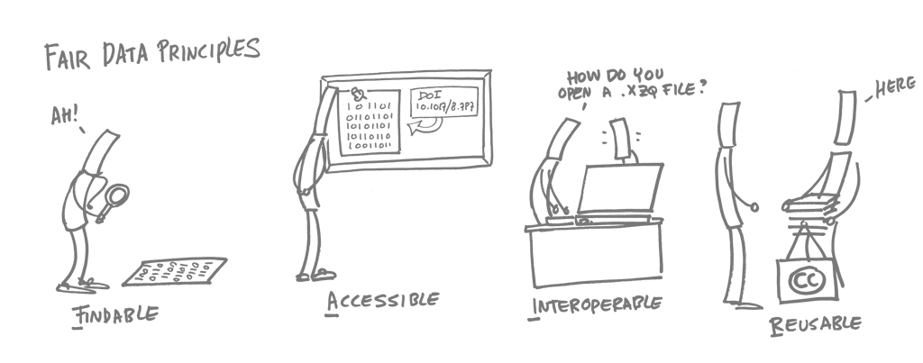 FAIR data principles: Findable, Accessible, Interoperable, Reusable